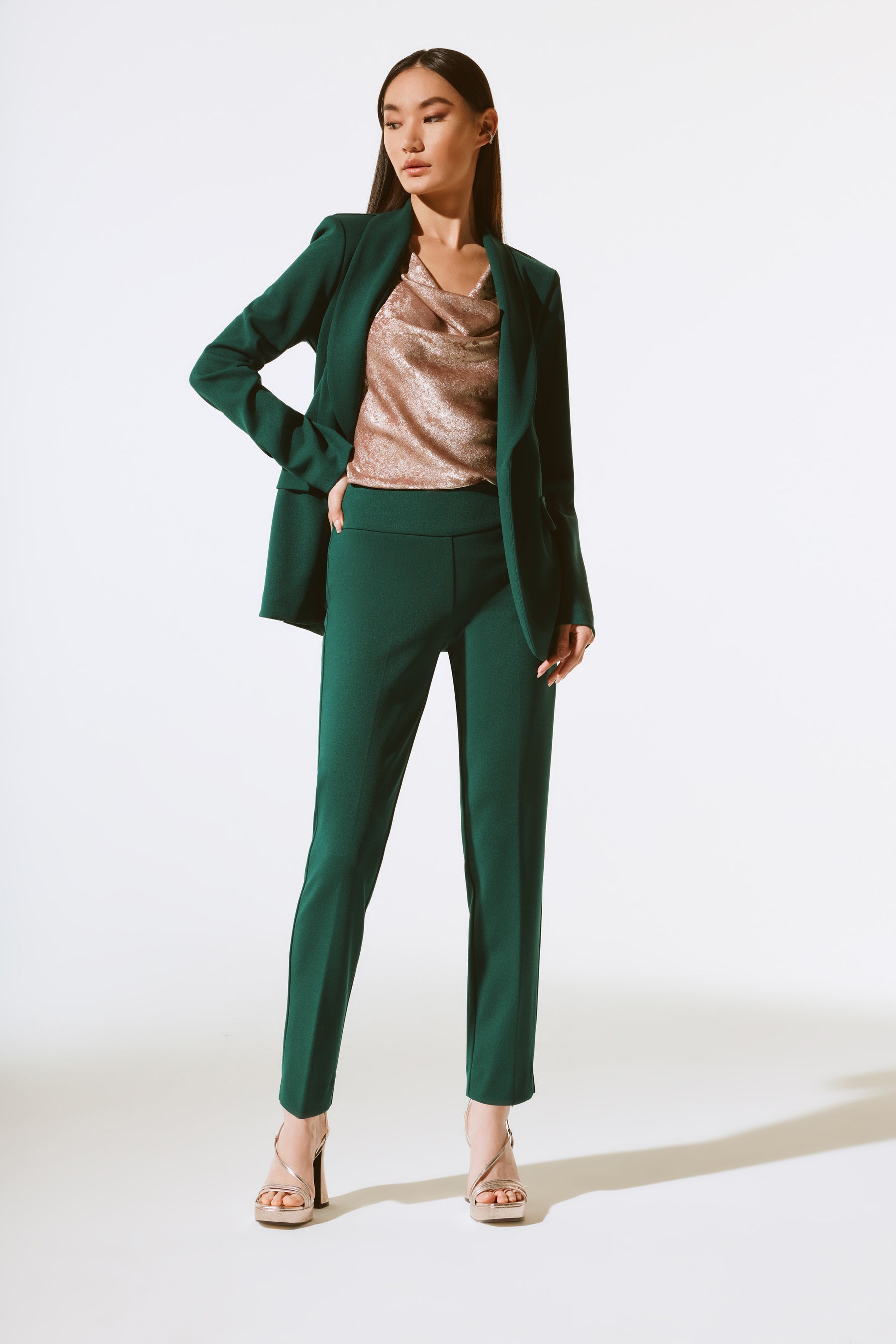 Joseph Ribkoff Pant 254209 Birch
