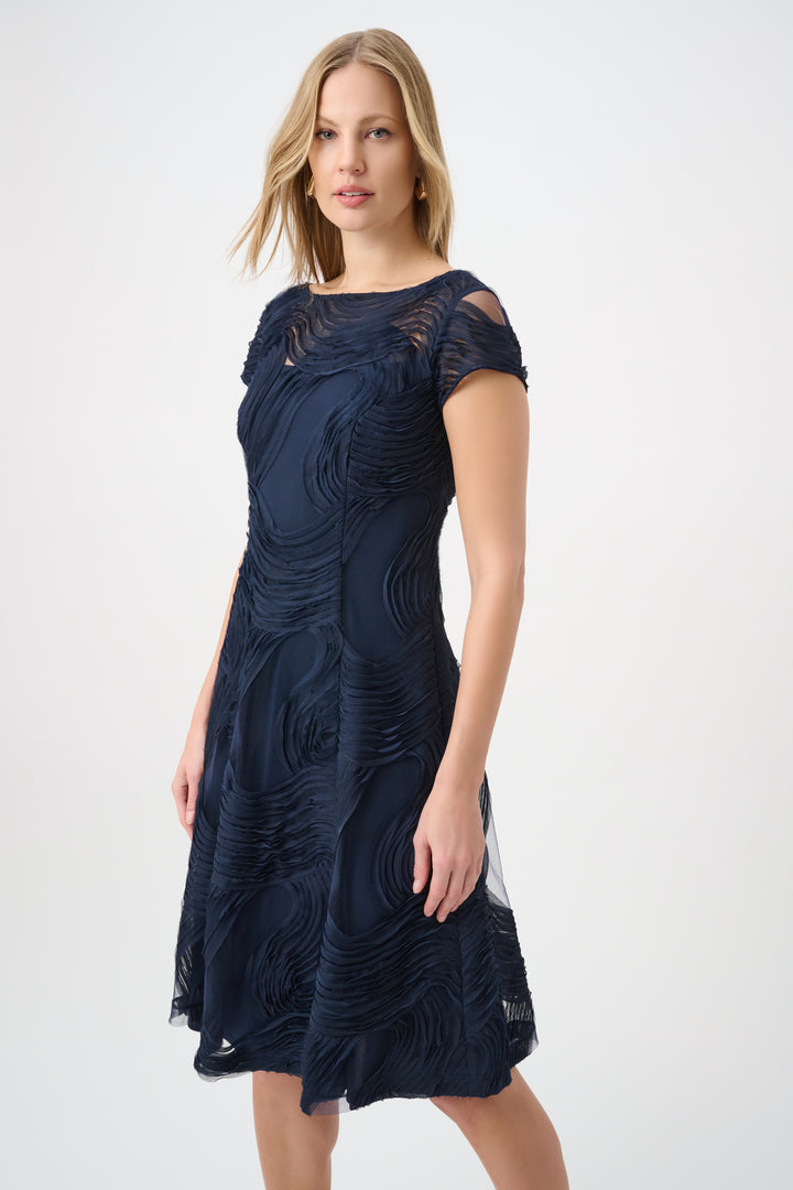 Embroideered Swirl Fit & Flare Dress 264720