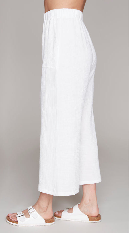 Compli K Pant 36035