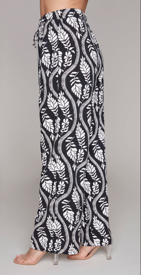 Compli K Pant 36047