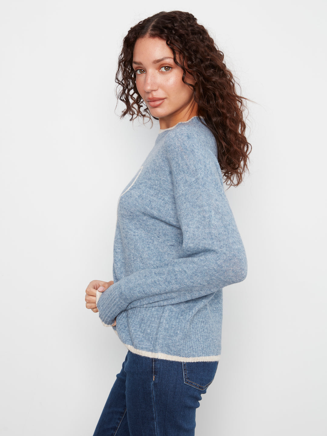Long Sleeve Drop Shoulder Mock Neck Sweater With Embroidery Detail