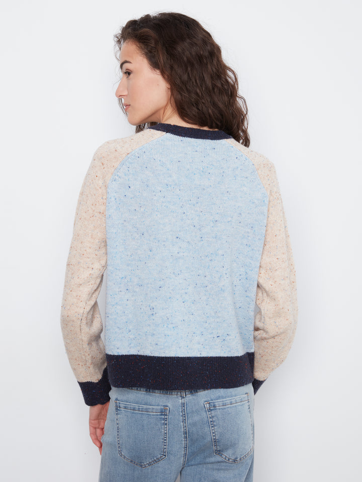 Raglan Long Sleeve Crew Neck Color Blocked Sweater