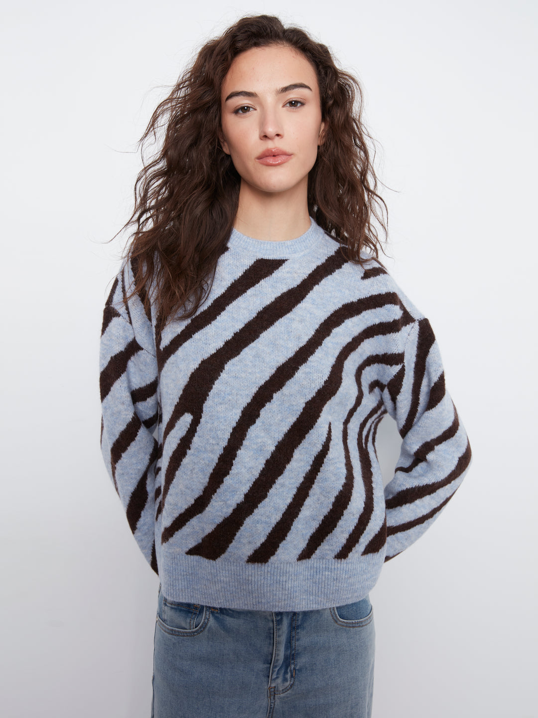 Long Sleeve Drop Shoulder Crew Neck Jacquard Sweater