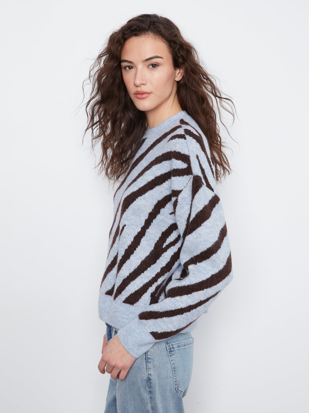 Long Sleeve Drop Shoulder Crew Neck Jacquard Sweater