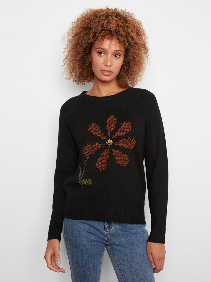 Embroidered Raglan Sleeve Crewneck Sweater
