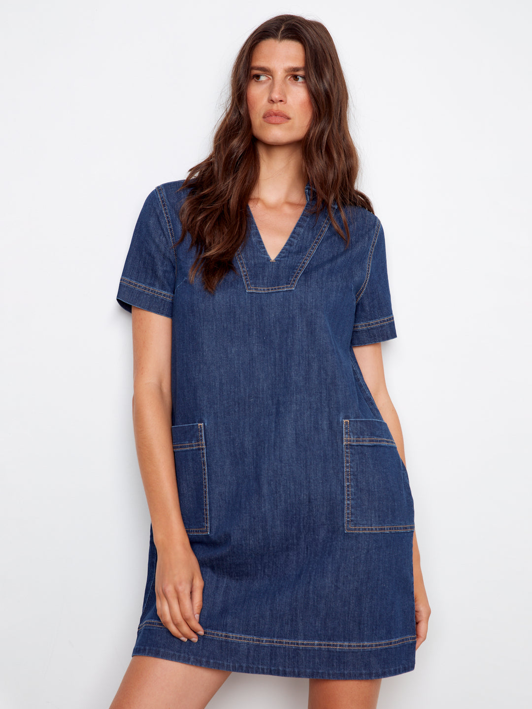 Collared V-Neck Denim Dress