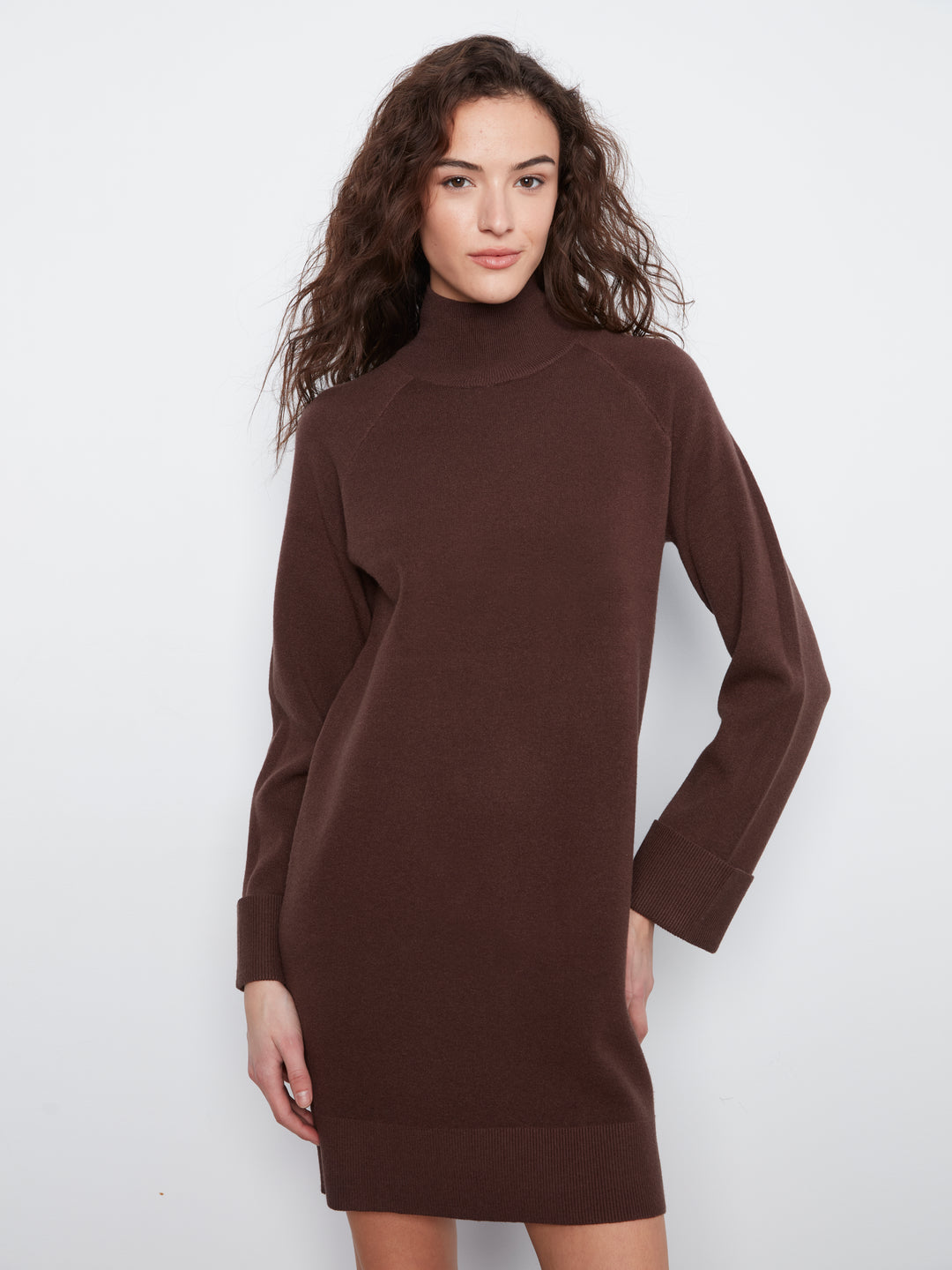 Long Sleeve Mock Neck Sweater Dress
