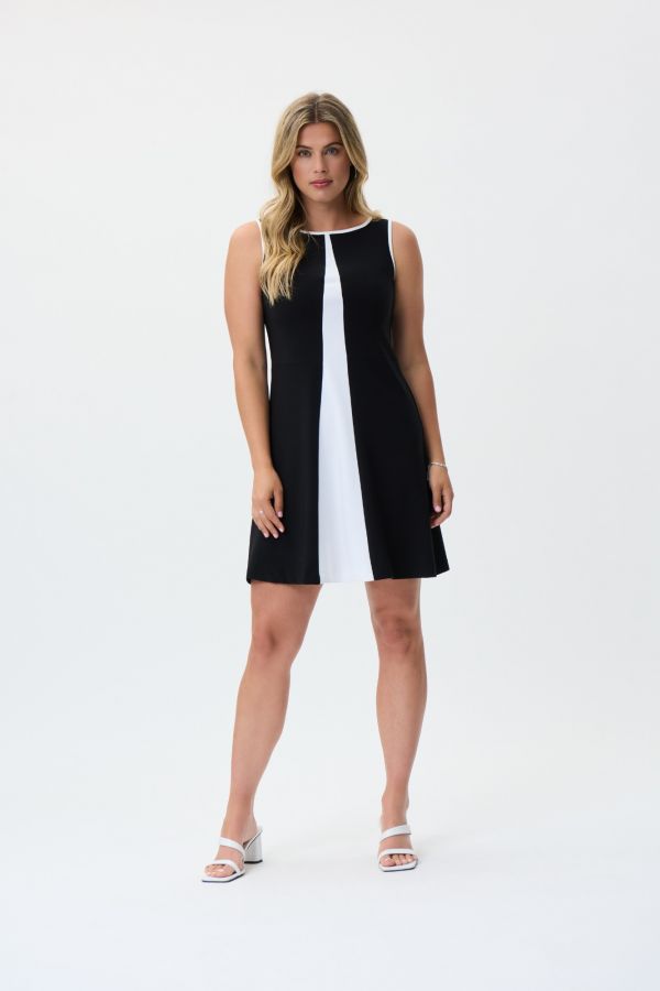 Joseph Ribkoff Dress 231193